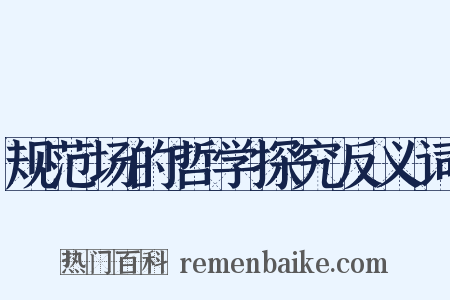 规范场的哲学探究反义词是什么意思的图片